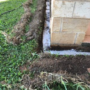 Termite Management Yeppoon