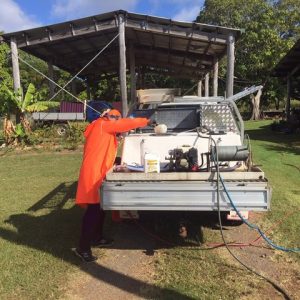 Environmentally Friendly Pest Control Chemicals Yeppoon